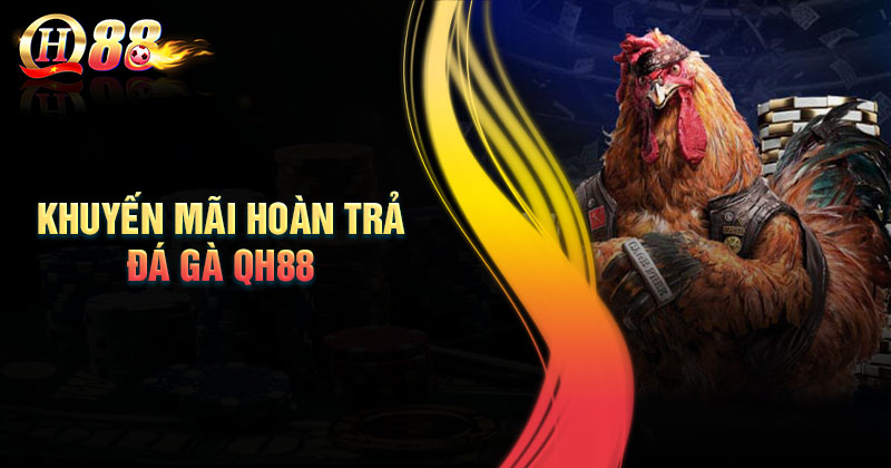 Lưu ý khi nhận khuyến mãi hoàn trả đá gà QH88